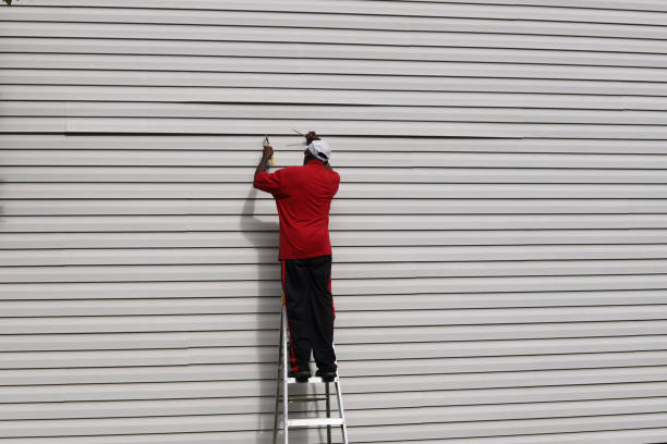Affordable Siding Repair and Maintenance Services in West Des Moines, IA